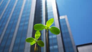 Edificios de negocios con un brote verde que simboliza crecimiento