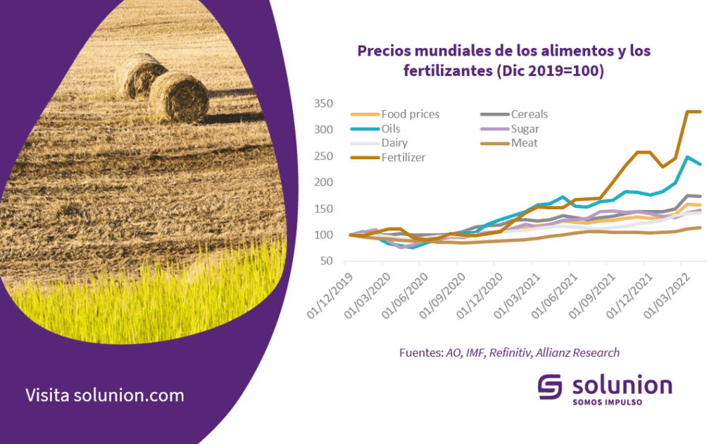 Curva que muestra la subida del precio de los fertilizantes y de los alimentos en el mundo