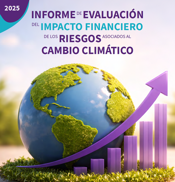 INFORME DE EVALUACIÓN DEL IMPACTO FINANCIERO DE LOS RIESGOS ASOCIADOS AL CAMBIO CLIMÁTICOINFORME DE EVALUACIÓN DEL IMPACTO FINANCIERO DE LOS RIESGOS ASOCIADOS AL CAMBIO CLIMÁTICO