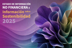 Informacion Sobre Sostenibilidad 2025. Solunion.