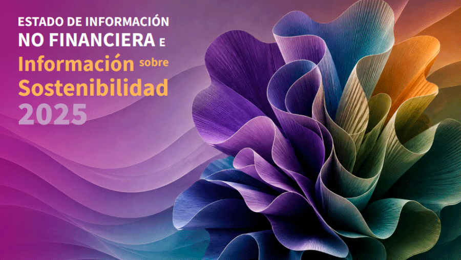 Portada del informe de sostenibilidad de Solunion 2025